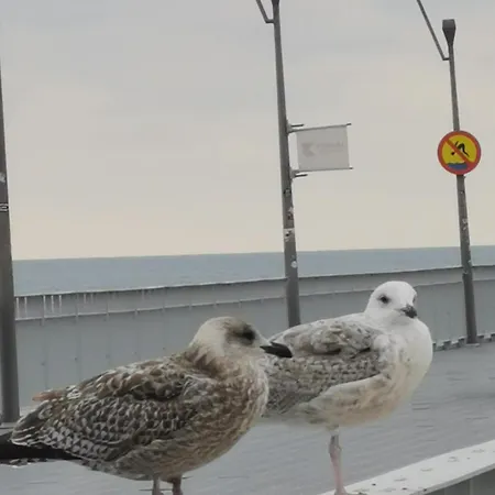 Diva Prywatny Z Tarasem * Kołobrzeg