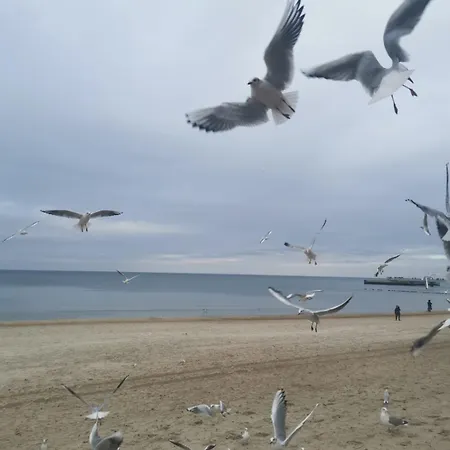 Diva Prywatny Z Tarasem Апартаменты