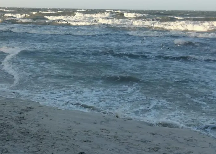 Appartement Diva Prywatny Z Tarasem *