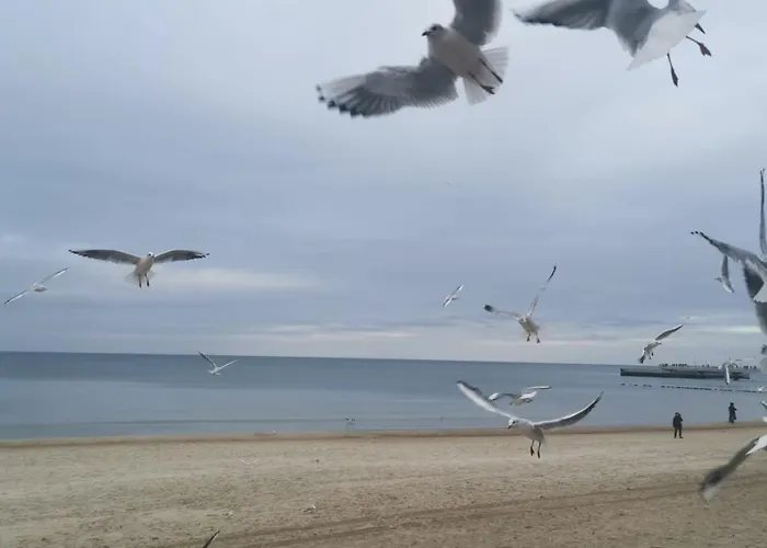 Diva Prywatny Z Tarasem Appartement